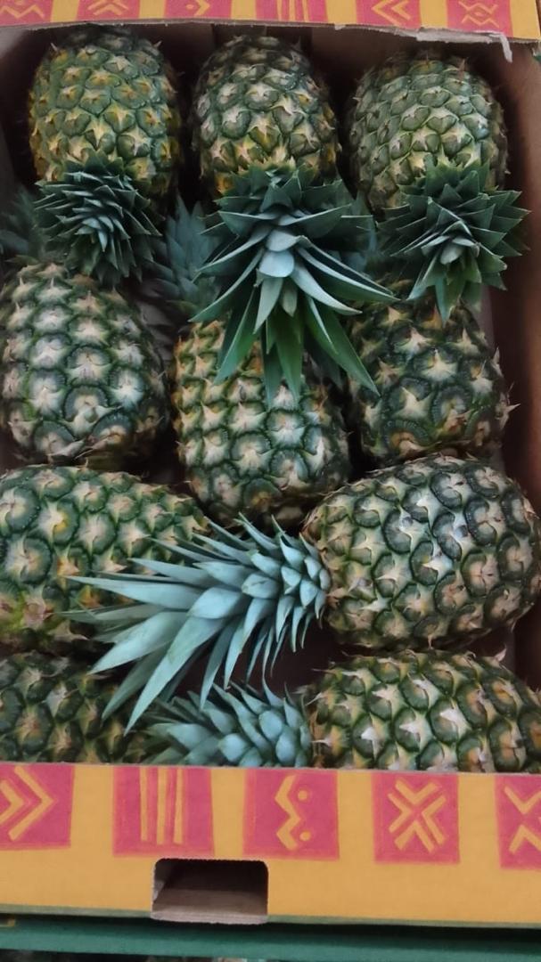 Pineapples packed in export cartons — SOSAF-CI Ivory Coast